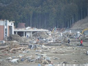 s-184700-d-10000010371-00001_2025